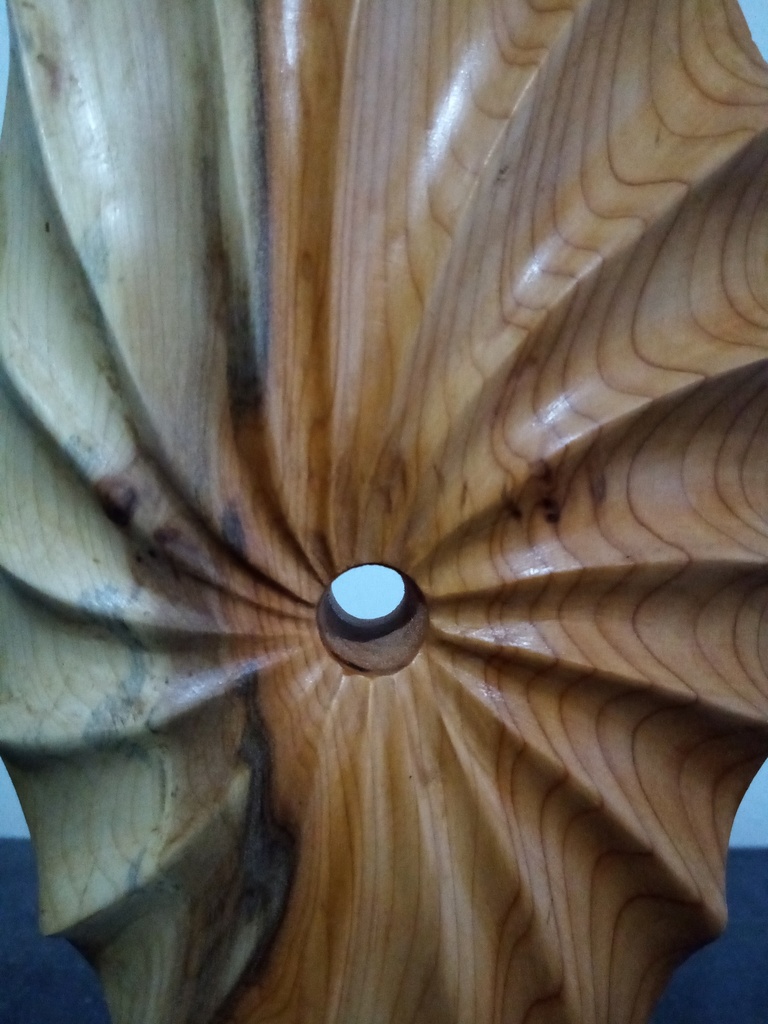 relief coquille
