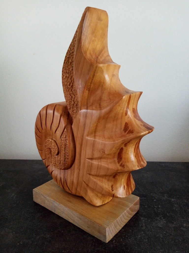 coquillage style nautile