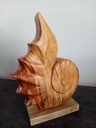 coquillage style nautile