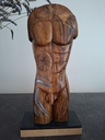 buste masculin