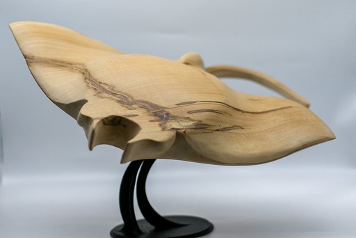 SCULPTURE BOIS (RAIE MANTA)
