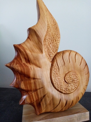 coquillage style nautile