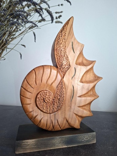 coquillage style nautile